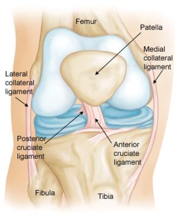 knee-pain-treatment-brisbane-northside-ashgrove-qld-au-2